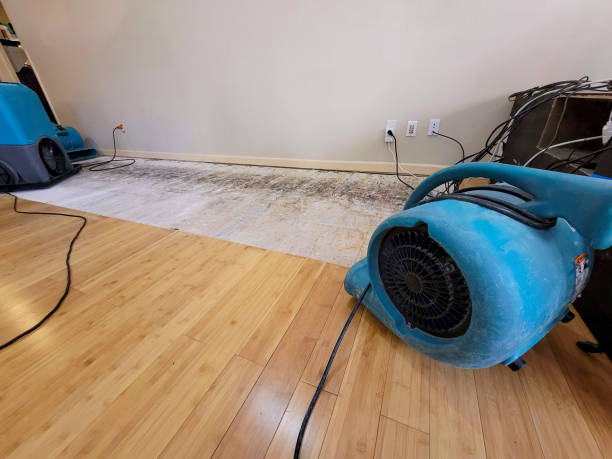 Professional Flood Damage Cleanup technician working in Caledonia, IL